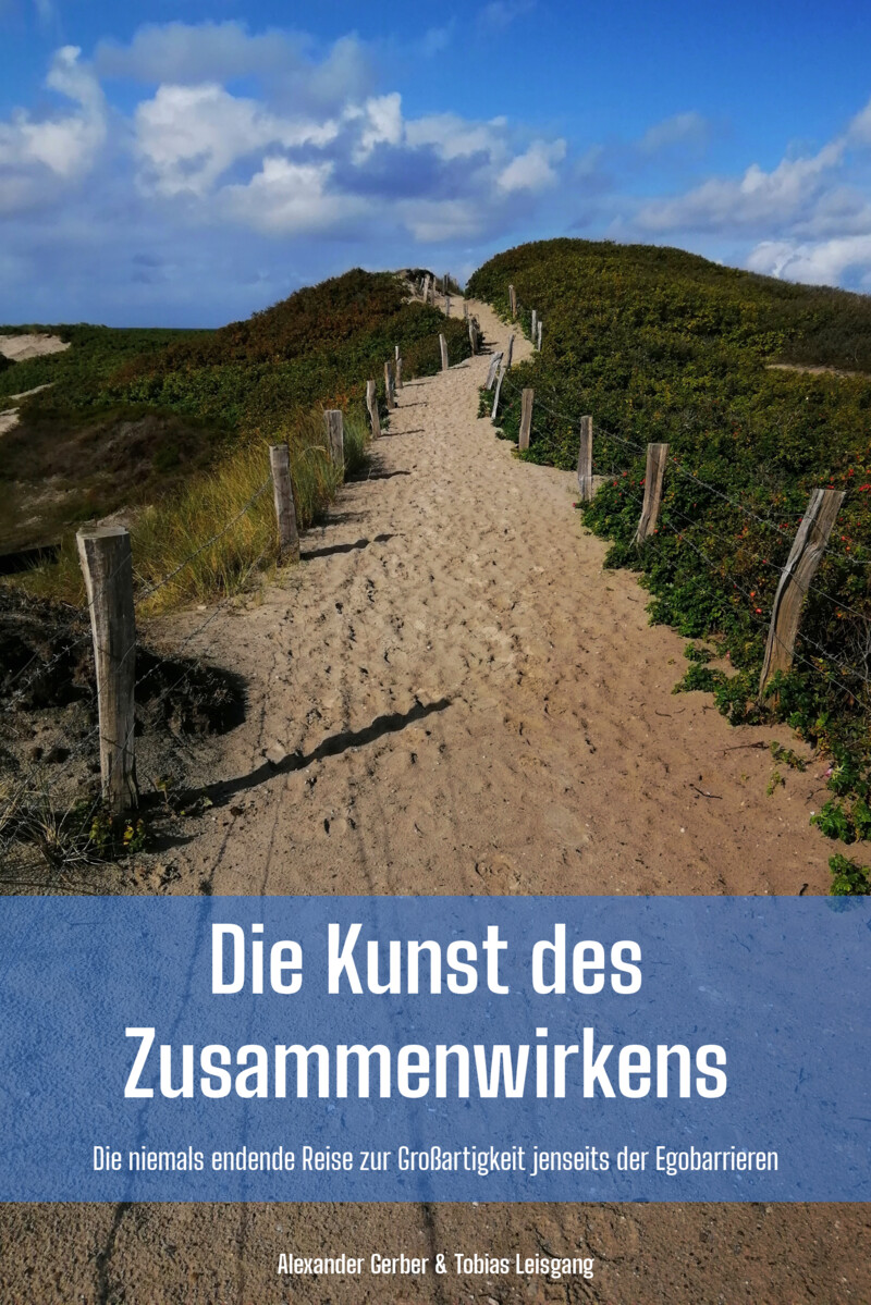 Die Kunst des Zusammenwirkens (Buchcover) Die Kunst des Zusammenwirkens (Buchcover)